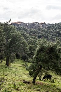 Büyükada Rum Yetimhanesi - 18 Ocak 2026